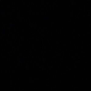 Meet your Posher, Madhu